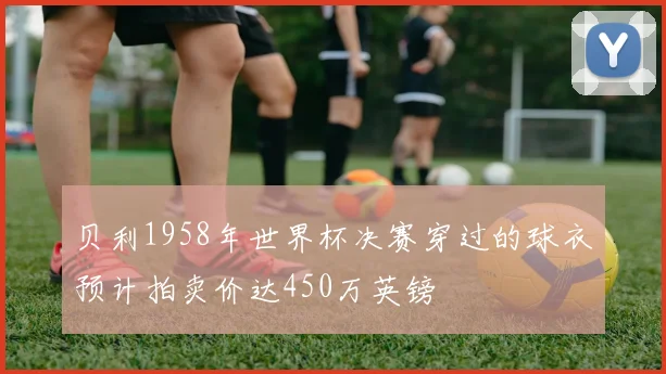贝利1958年世界杯决赛穿过的球衣预计拍卖价达450万英镑