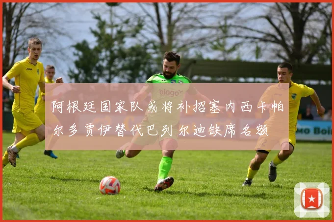 阿根廷国家队或将补招塞内西卡帕尔多贾伊替代巴列尔迪缺席名额